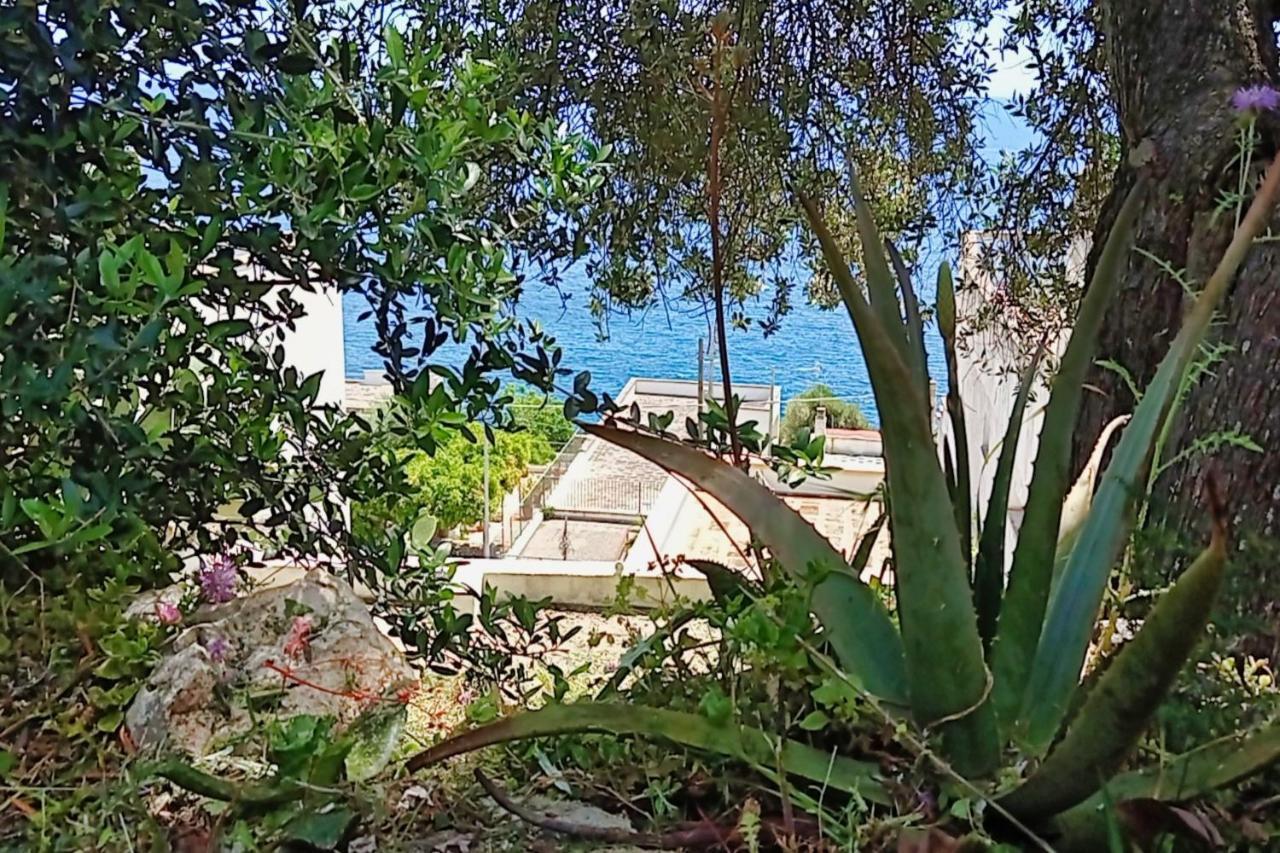 Marina Di Andrano - Alisso, Casa Vista Mare Con Parcheggio Privato E Wifi Villa Bagian luar foto